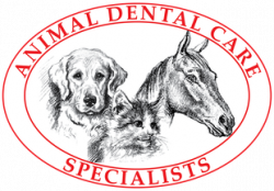 Animal-Dental-Care-Specialists-in-Oakland-TN