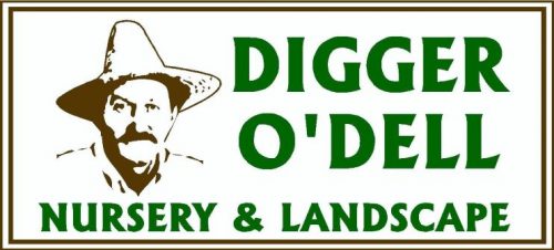 Digger Logo 2024